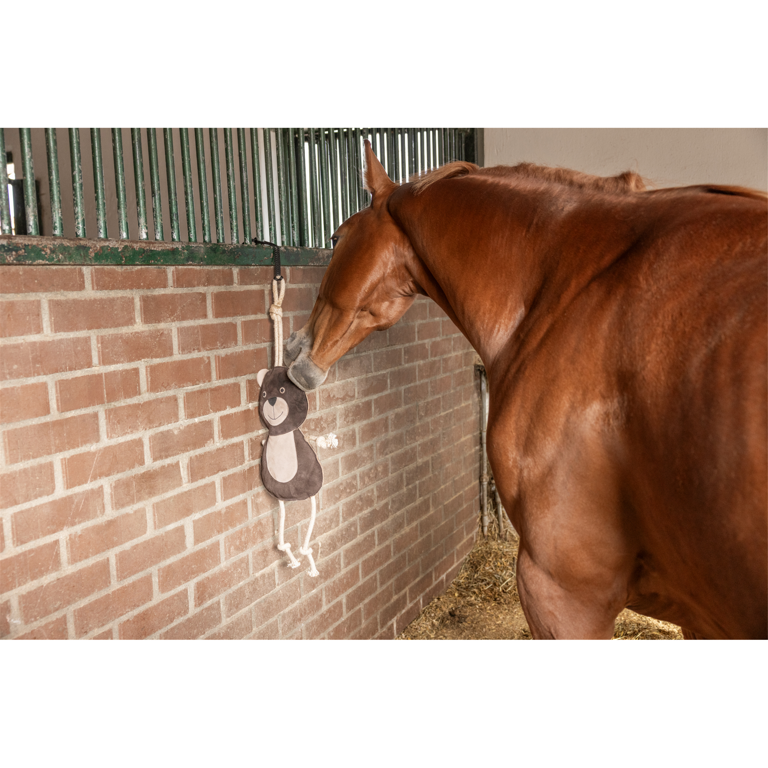 KERBL Panier De Diète Teddy Fleece Pour Cheval / Pony - Noir - Confort Et Sécurité Au Pâturage