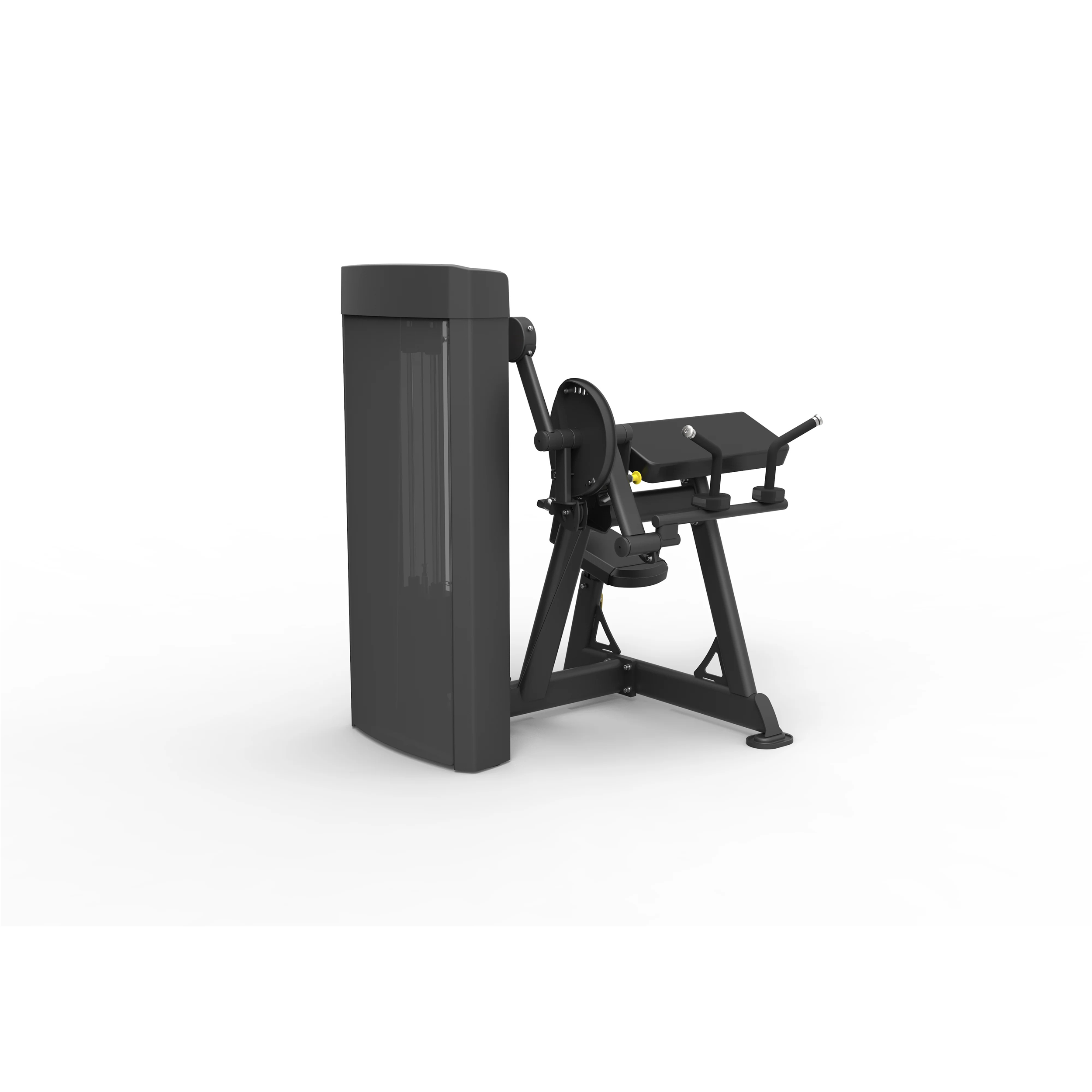 Biceps curl / triceps extension sp-4607 - Appareils de Musculation - SPIRIT- Clubs - Entreprises - Collectivités - Associations