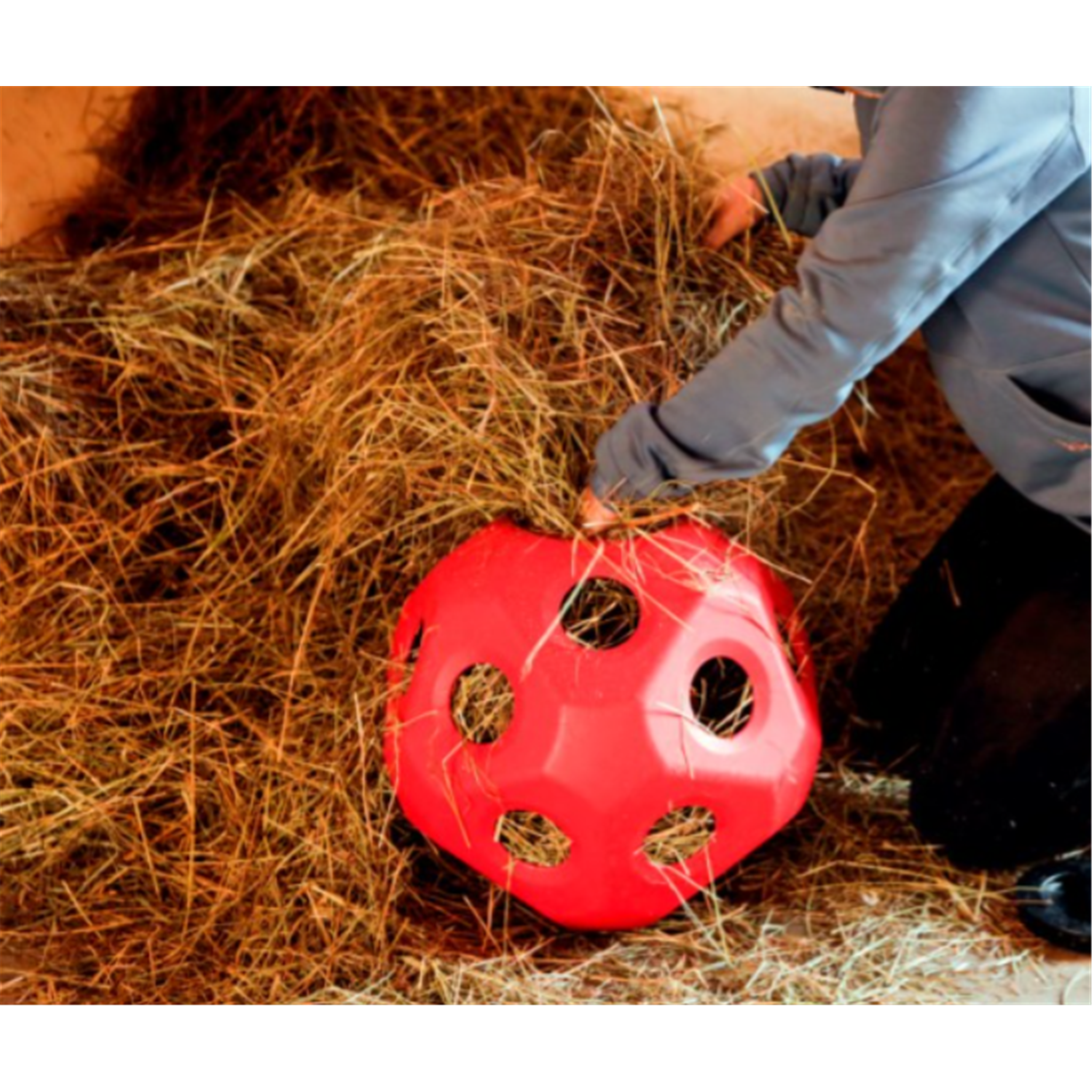 Chargeur De Balles Pour Chevaux,Mangeoire à Foin Horse Ball Jouet Durable De Boule D