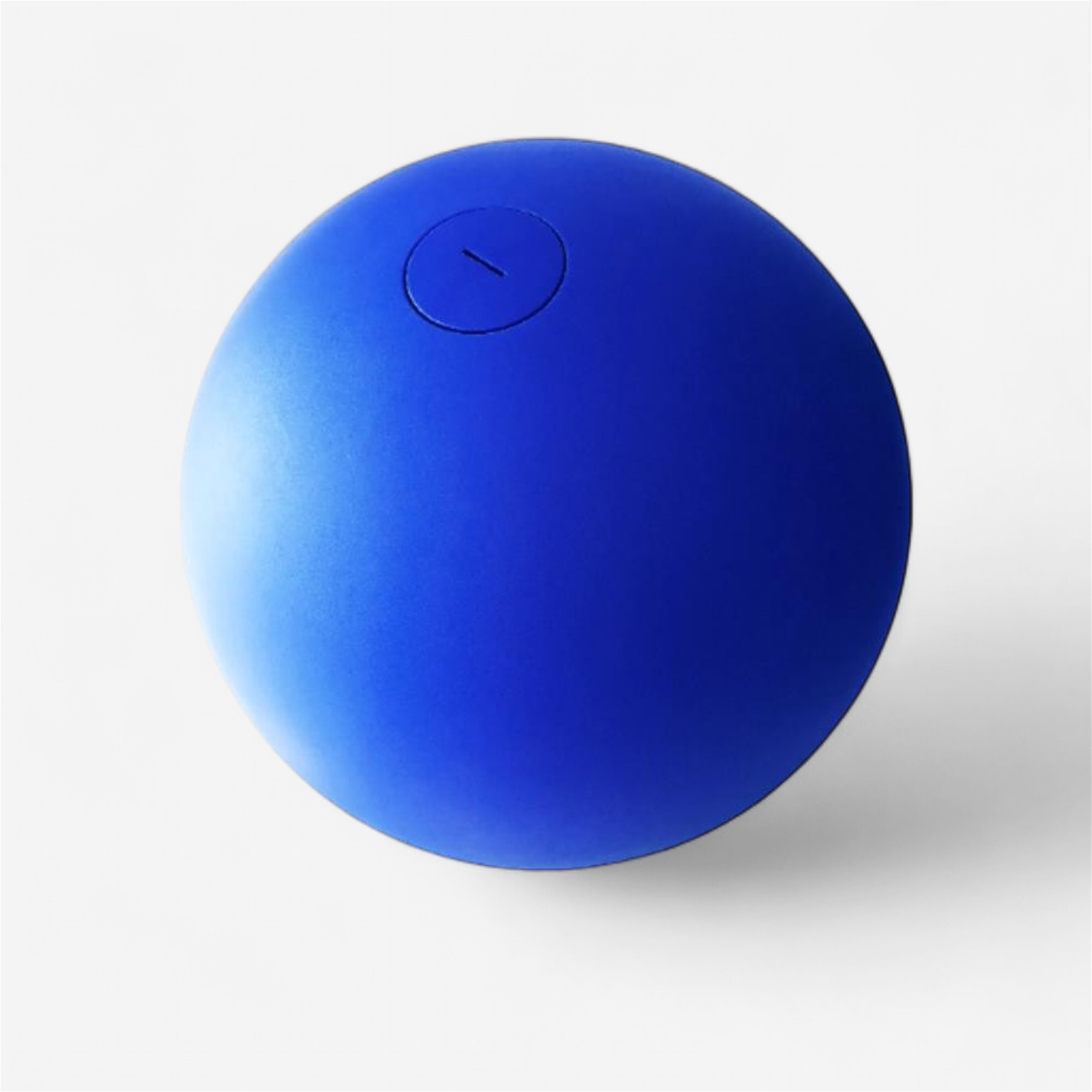 Boule d'équilibre 10-16kg - bleu - Gymnastique et sports artistiques - Cirque et jonglage - ROTOTECH-PLASTICO-Decathlon PRO - Clubs - Entreprises -