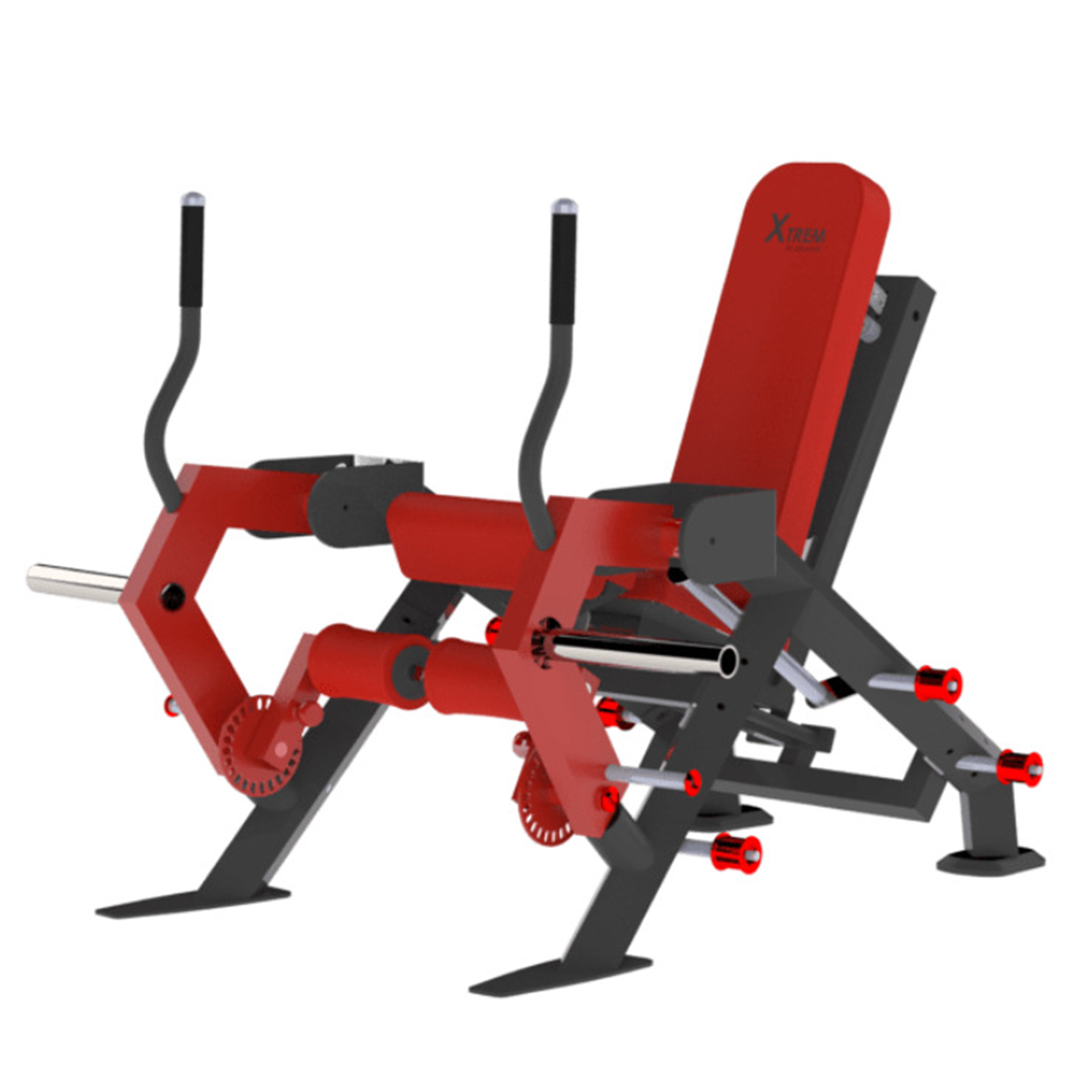 Leg extension quadriceps by delavier bxt - Appareils de Musculation - LAROQ- Clubs - Entreprises - Collectivités - Associations