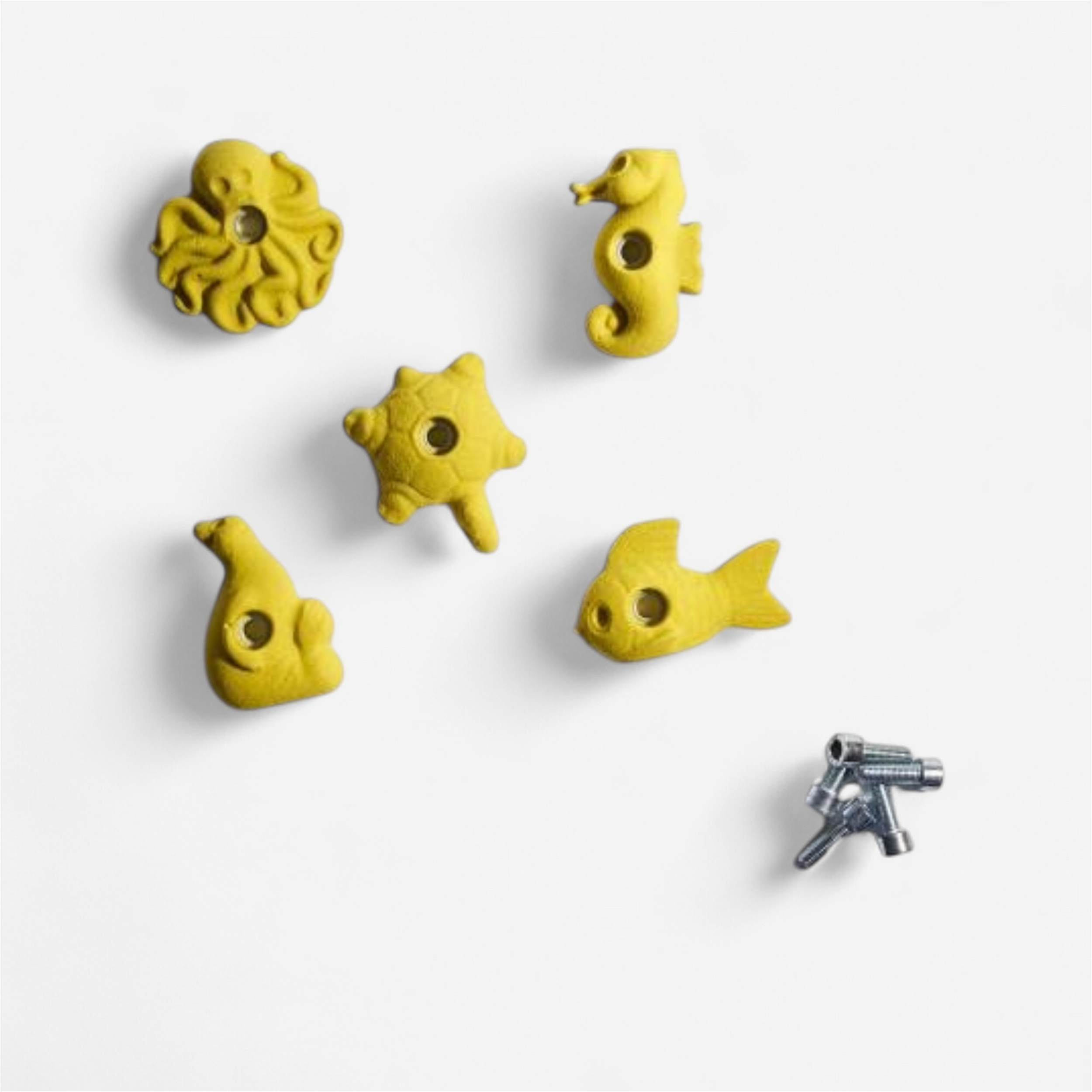 Lot de 5 prises d'escalade 80 mm enfant série plage - Escalade - Altissimo- Clubs - Entreprises - Collectivités - Associations