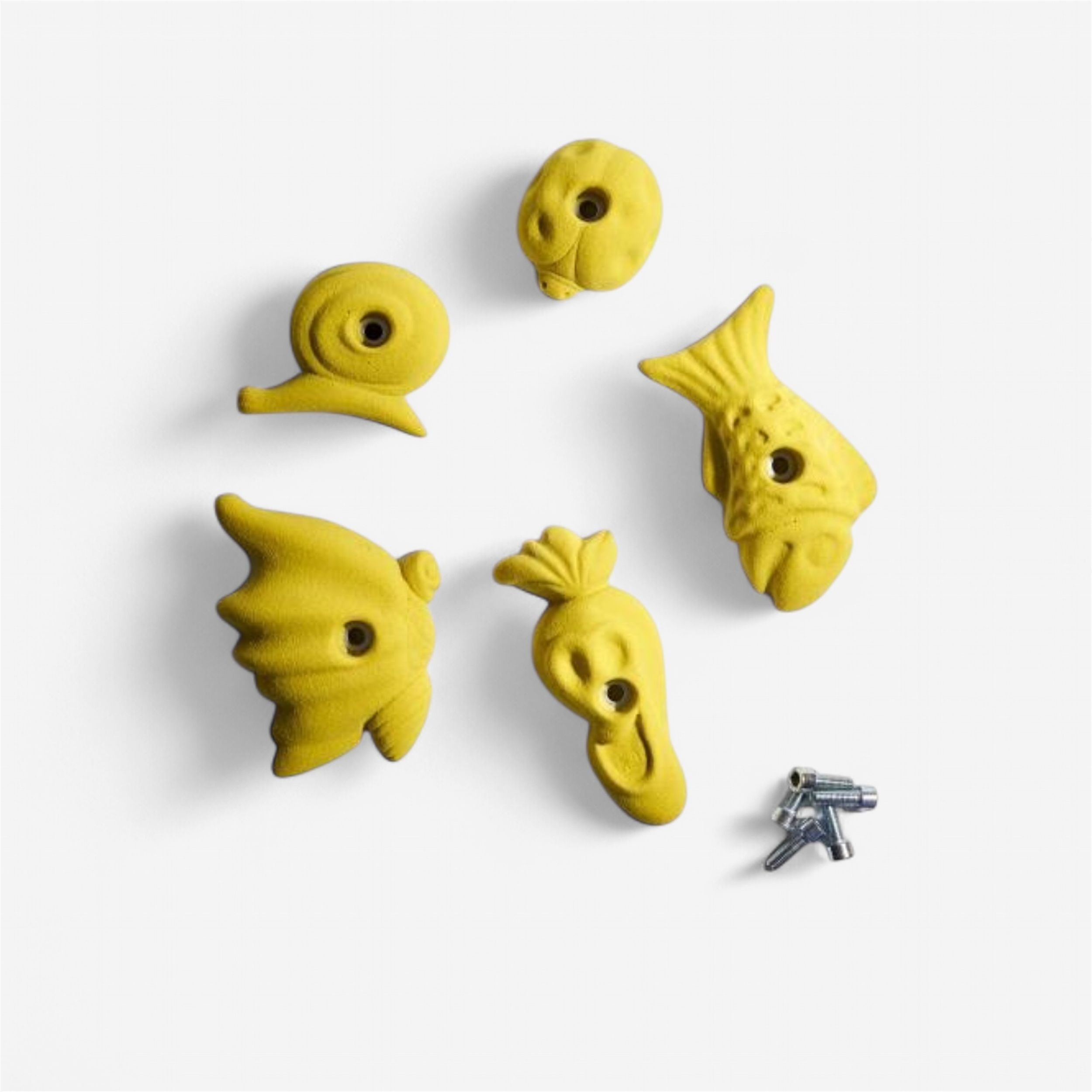 Lot de 5 prises d'escalade 150 mm enfant série 1 - Altissimo