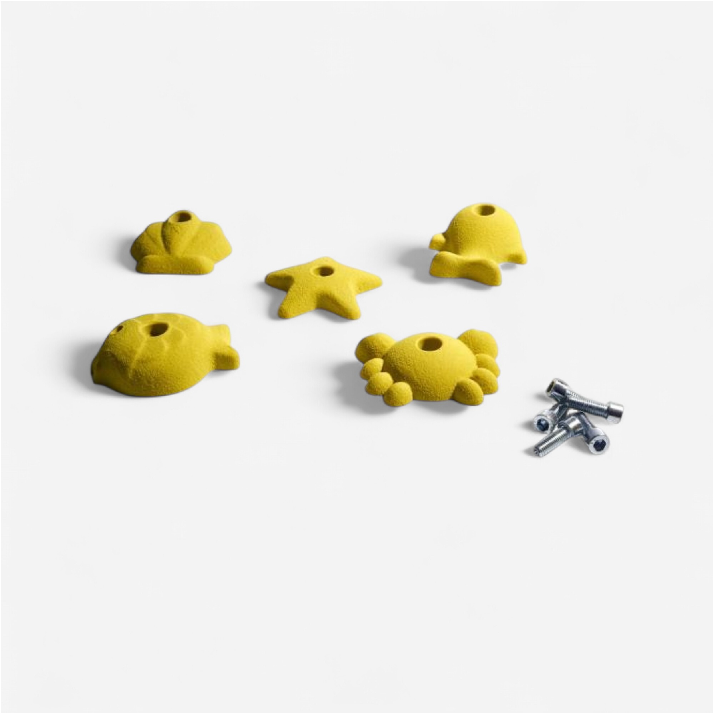 Prise d'escalade altissimo - lot de 5 prises 100 mm enfant série marin - Mobilité urbaine et outdoor - Escalade - ALTISSIMO-Decathlon PRO - Clubs -