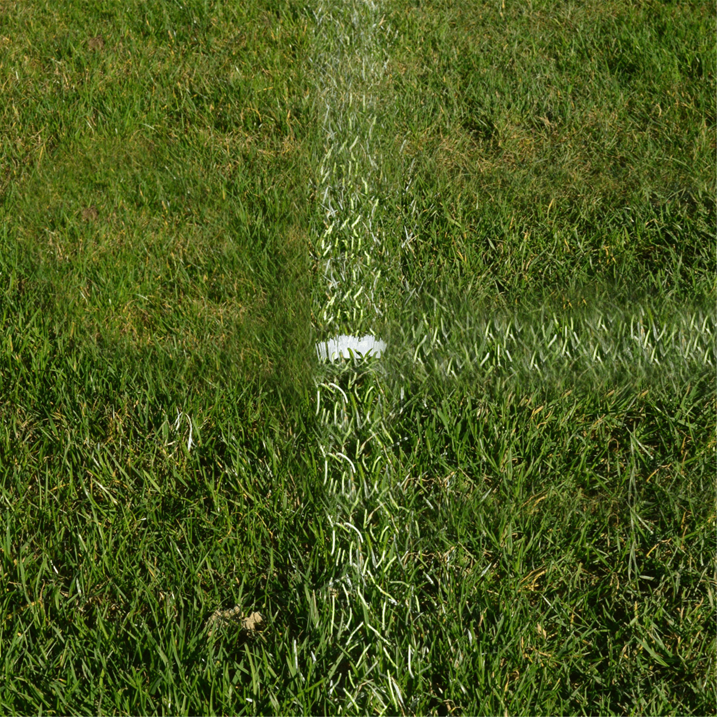 Quelles Dimensions Pour Un Terrain De Football ? - Casal Sport