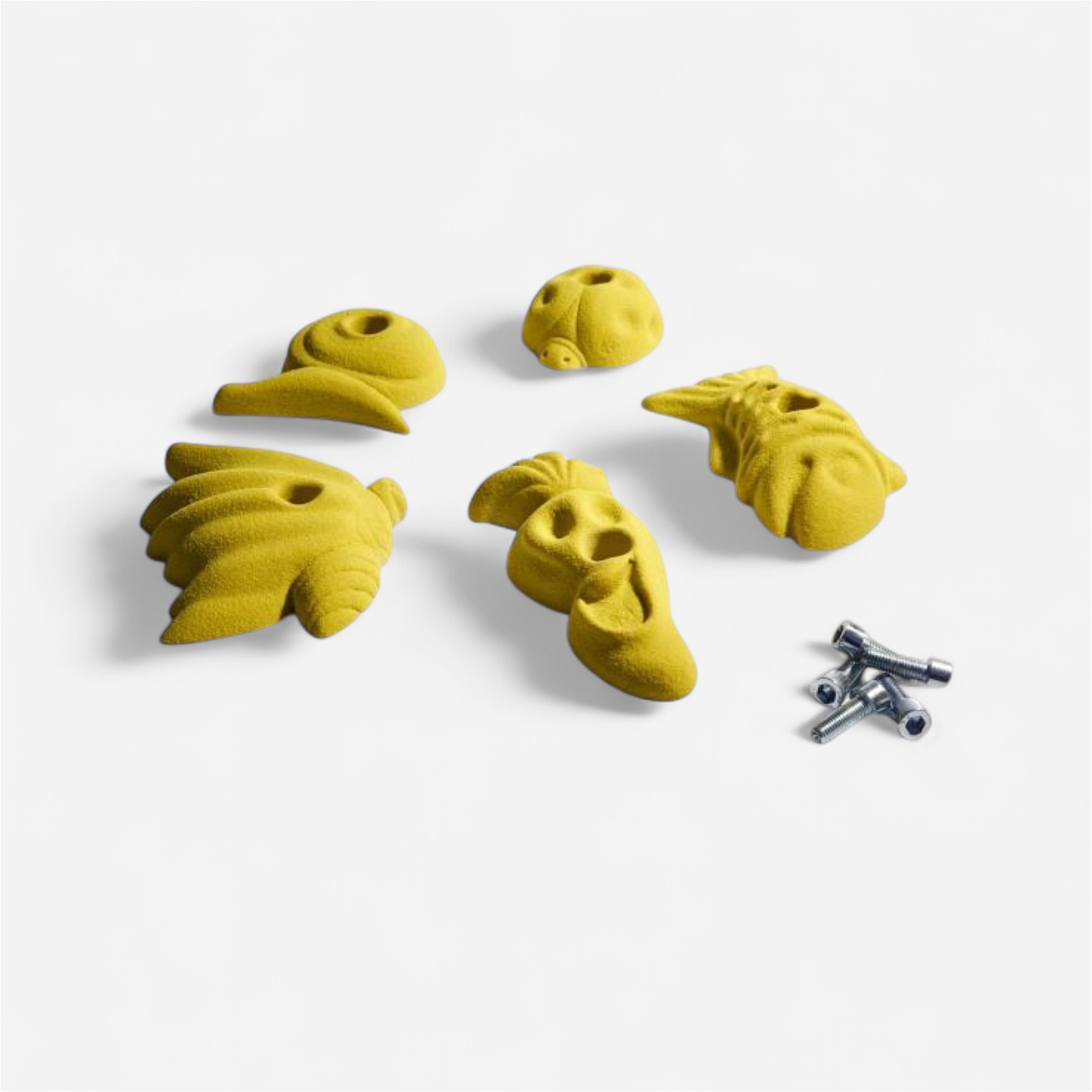 Prise d'escalade Altissimo - Lot de 5 prises 150 mm enfant série 2 pour les clubs et collectivités | Decathlon Pro