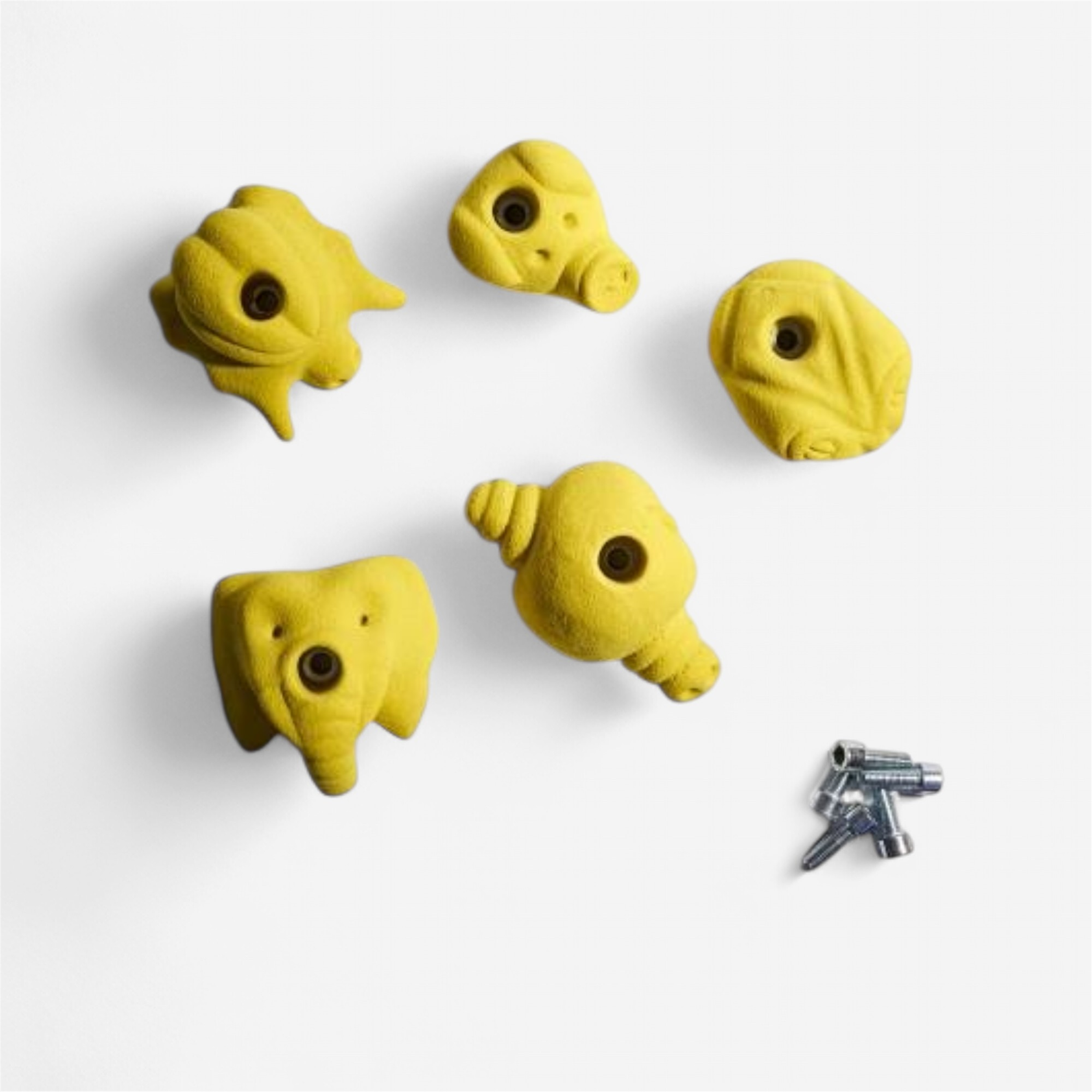 Lot de 5 prises d'escalade 150 mm enfant série 2 - Altissimo