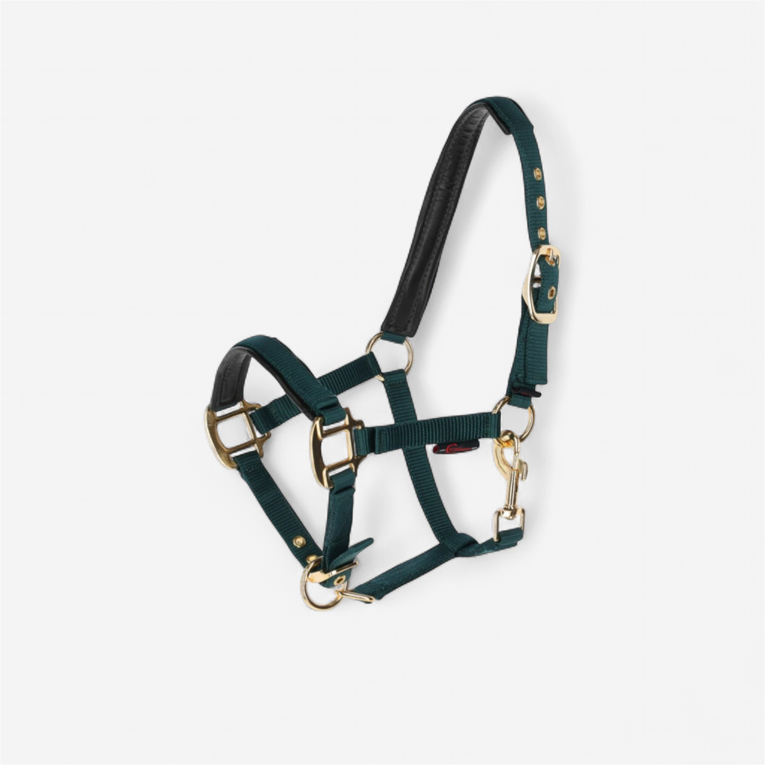 Licol Réglable Pour Poulain - 10 Couleurs Au Choix - Avec Fixations Brillantes, Sangles Ajustables