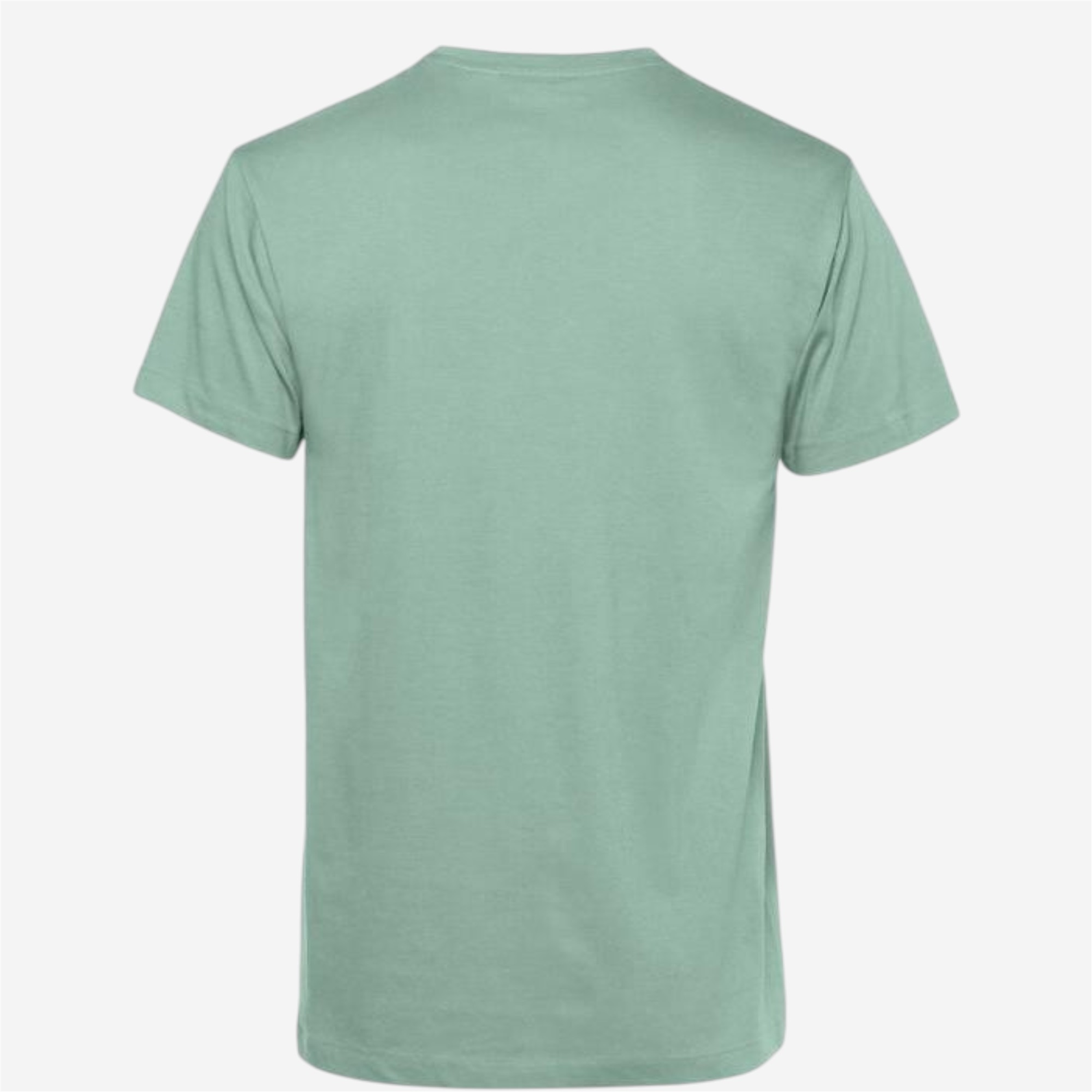 T-shirt coton organic vert d'eau - HAUTS - B&c- Clubs - Entreprises - Collectivités - Associations