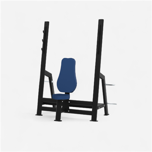 Banc de musculation Laroq - Banc développé Assis Noir 