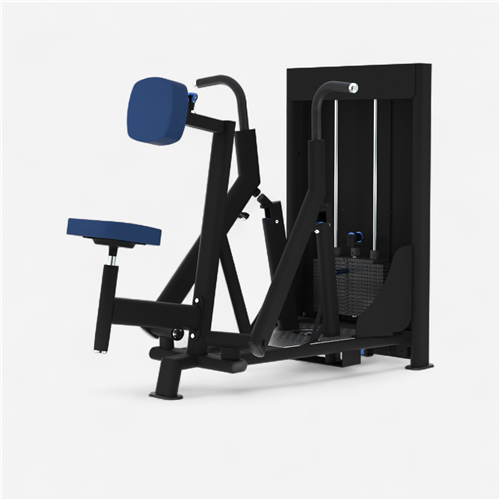 Appareil de musculation Laroq - Rowing machine convergente noir 80 Kg ...