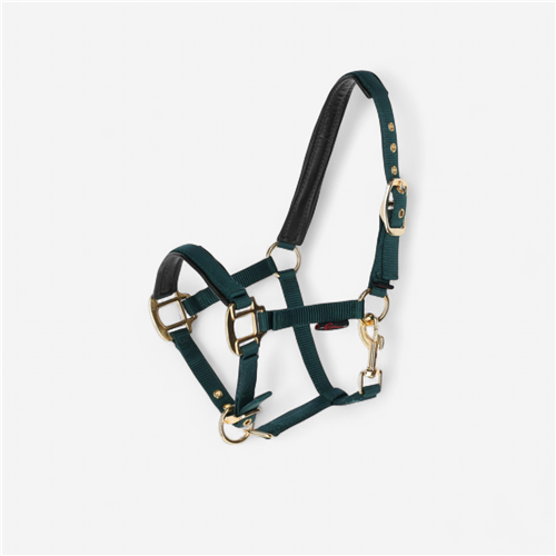 LICOL TOPLINE FOREST, POULAIN