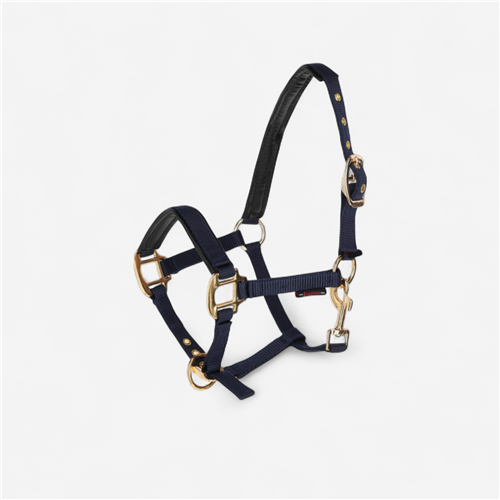 LICOL TOPLINE NAVY, POULAIN