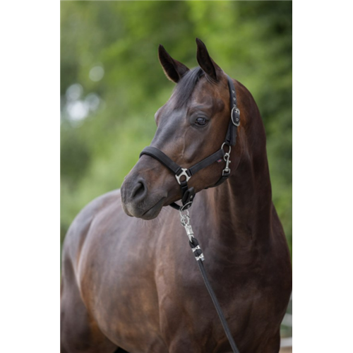 LICOL DEXTER AVEC FACE INTÉRIEURE POLAIR