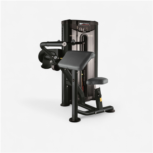 Appareil de musculation Bh Fitness - Triceps 