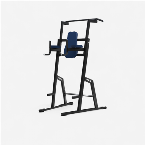 Appareil de musculation Laroq - Chaise Romaine Noir