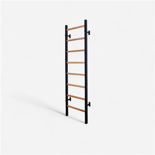 Espalier gymnastique Benchk - 200B 