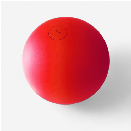 Boule d'équilibre 10-16kg - rouge