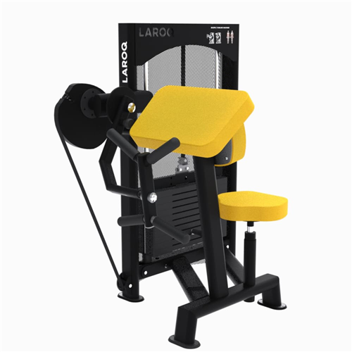 Machine de musculation biceps avec charge de 100 Kg - Laroq NC24 jaune