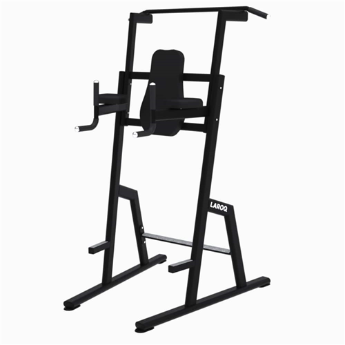 Machine de musculation Dips et Barre Fixe - Laroq BC24 noir