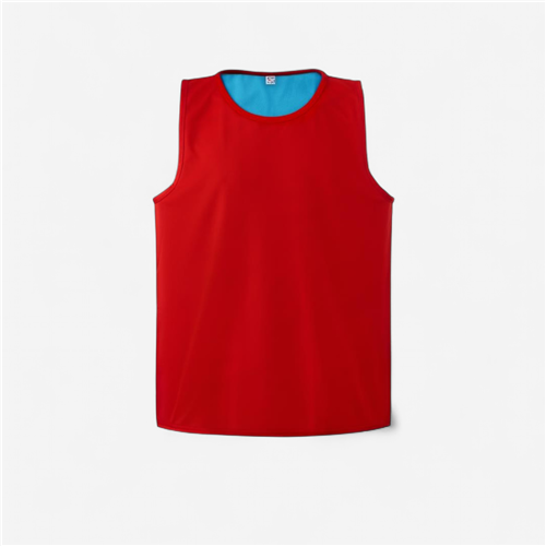 Chasuble réversible rugby Tremblay - Rouge/Bleu 