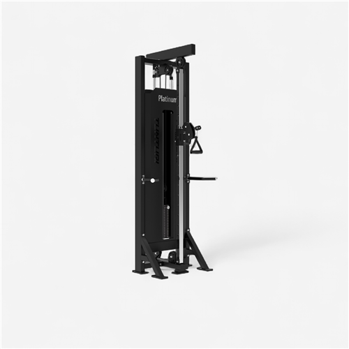Appareil de musculation Tunturi - Platinum Single Station
