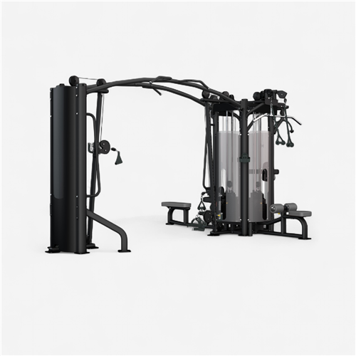 Tour 5 postes de musculation BH Fitness L485B