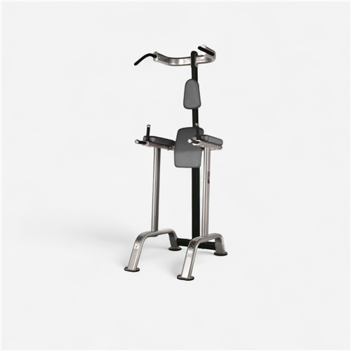 Banc de musculation BH Fitness - Banc abdos triceps 