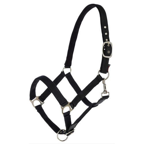 LICOL DEXTER AVEC DOUBLURE POLAIRE, NOIR