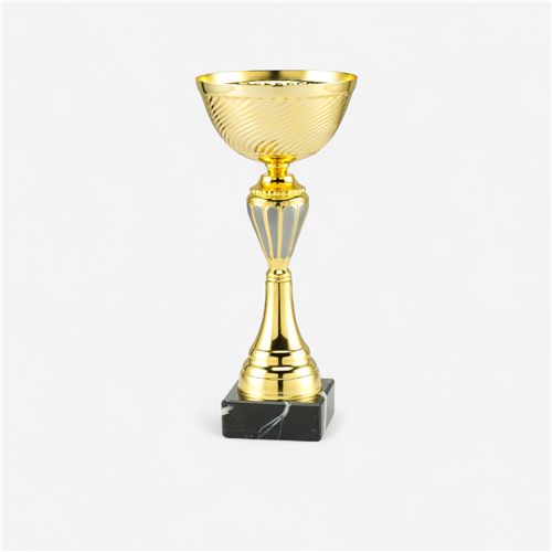 Coupe 24 cm - Eco 
