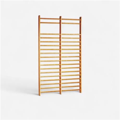 Espalier de gymnastique 250cm Gvg Sports - Double 