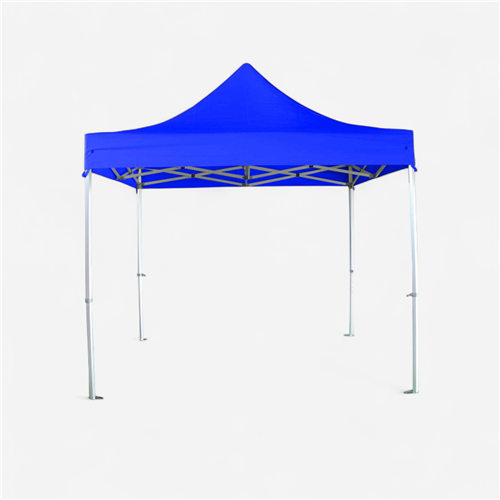 Barnum pliant Pro 3x3m BLEU