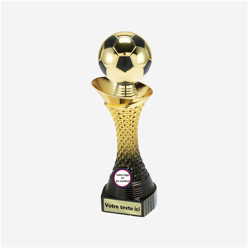 TROPHÉE FOOTBALL PERSONNALISÉ 25,5 CM