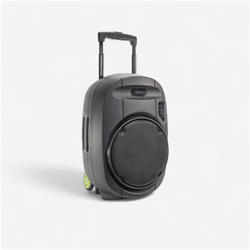 SONO SUR BATTERIE 800 WATTS