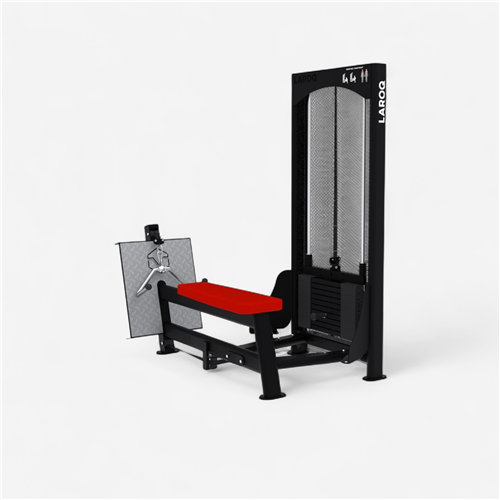 Appareil de musculation Laroq - Dorsy bas rouge 100 Kg 