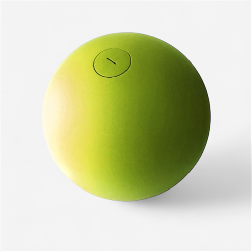 Boule d'équilibre 10-16kg  - vert anis