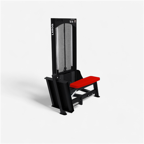 Appareil de musculation Laroq - Dorsy bas rouge 75 Kg 