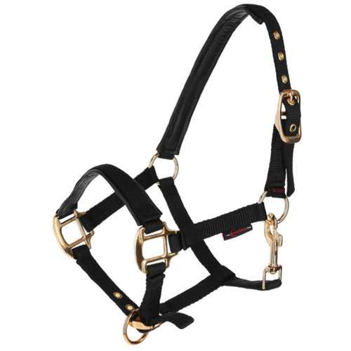LICOL TOPLINE BLACK, POULAIN