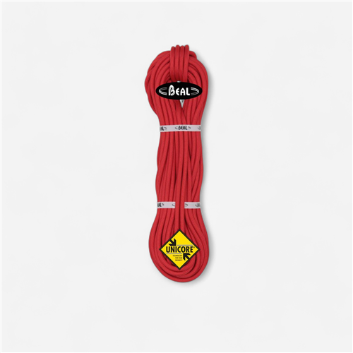 Corde d'escalade Beal Wall School 20 m - 10.2 mm Rouge 