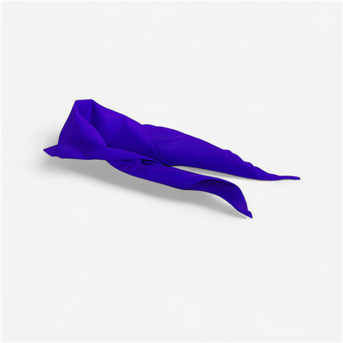 Foulard de jeu Tremblay - bleu