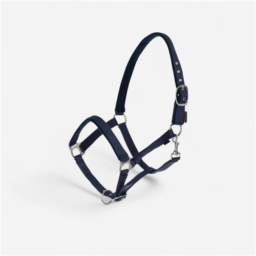 LICOL DEXTER AVEC FACE INTÉRIEURE POLAIR