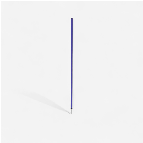 Piquet de slalom pointe acier Tremblay 160 cm - Bleu