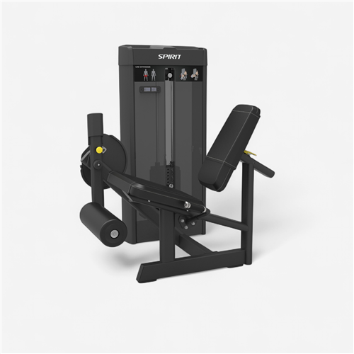 LEG EXTENSION