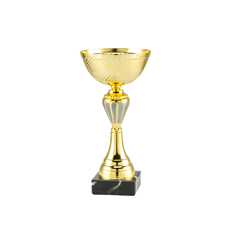 coupe eco or noir 24 cm