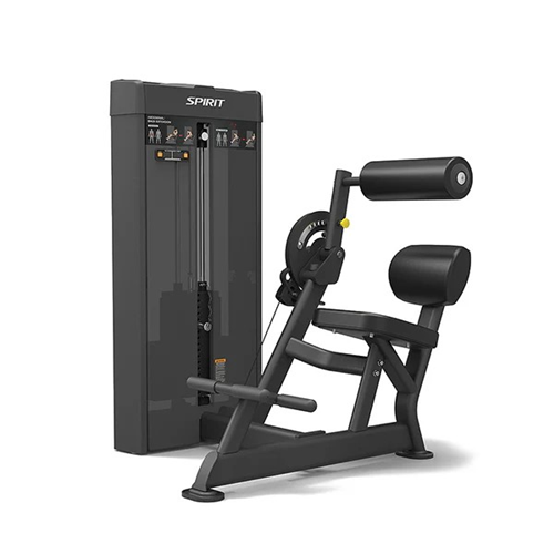Machine de musculation abdominaux / dos - Spirit SP-4609 noir 