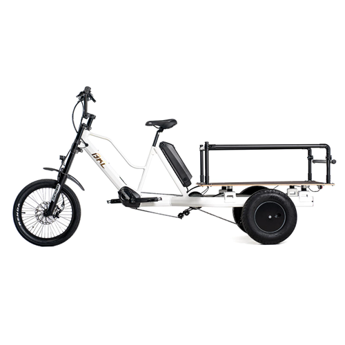 Triporteur Électrique BKL Compact Pickup