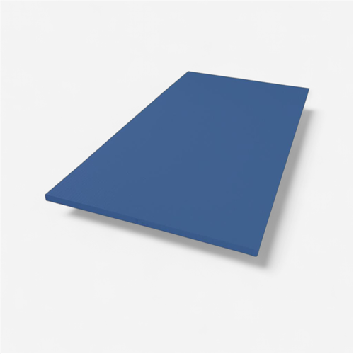 Tatami judo 200x100x5 cm  - Vinyle dessous nu bleu