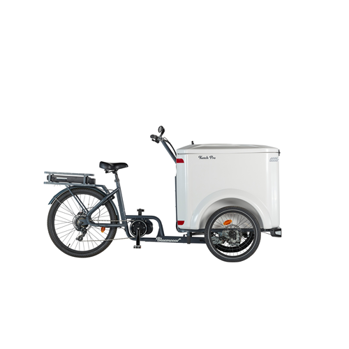vélo cargo triporteur ketch pro électrique enviolo box fermée