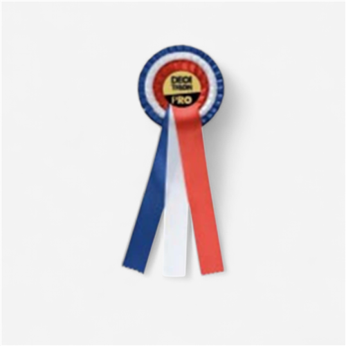 Flot de récompense équitation - Bleu Blanc Rouge Personnalisé N&amp;B 