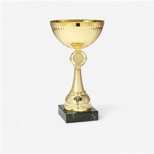 Coupe 18 cm - Eco